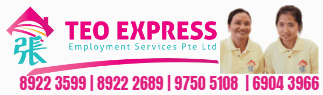 Teo Express Employment Services Pte Ltd